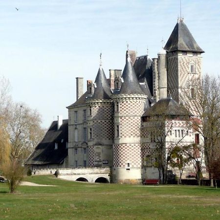 Chateau Des Reaux Chouzé-sur-Loire Exterior foto