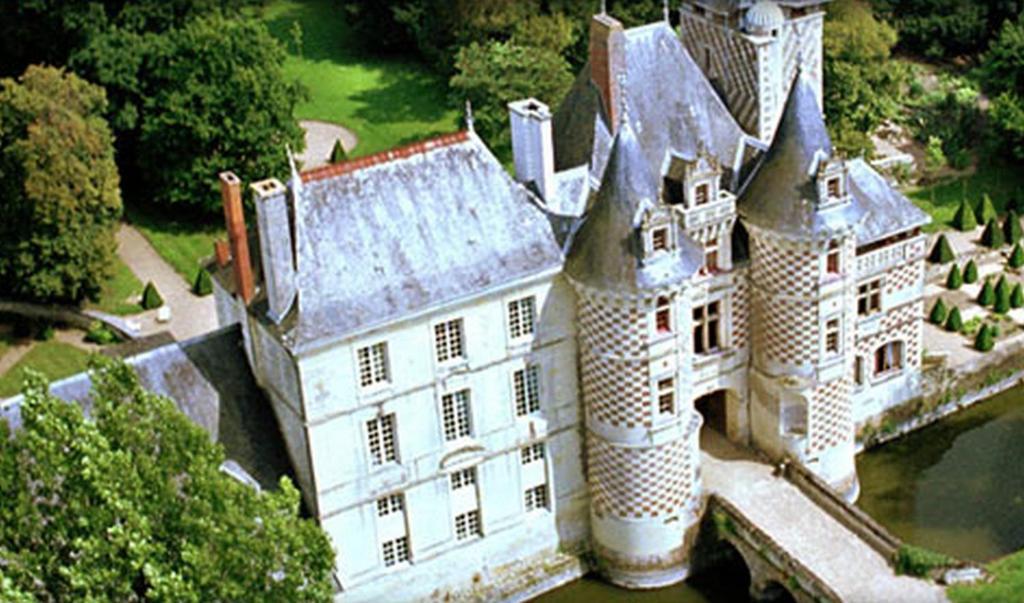 Chateau Des Reaux Chouzé-sur-Loire Exterior foto