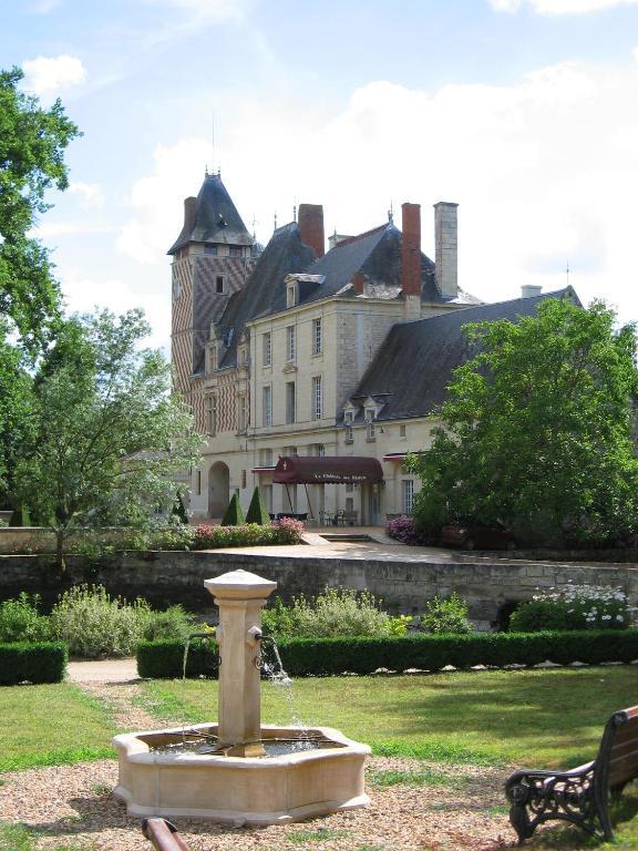 Chateau Des Reaux Chouzé-sur-Loire Exterior foto